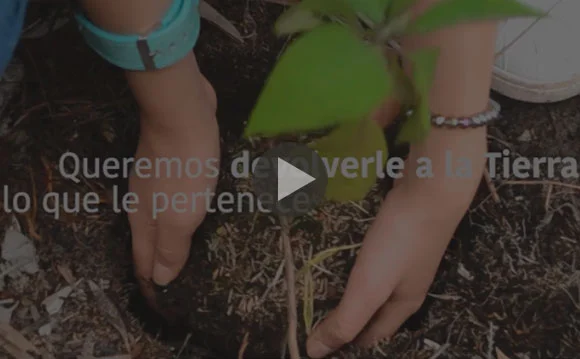 Responsabilidad Social Empresarial red de arboles