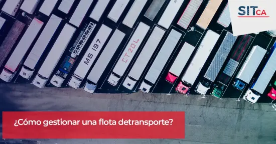 ¿Cómo gestionar una flota de transporte?