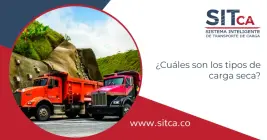 ¿Cuáles son los tipos de carga seca? ¿Cuáles son los tipos de carga seca?